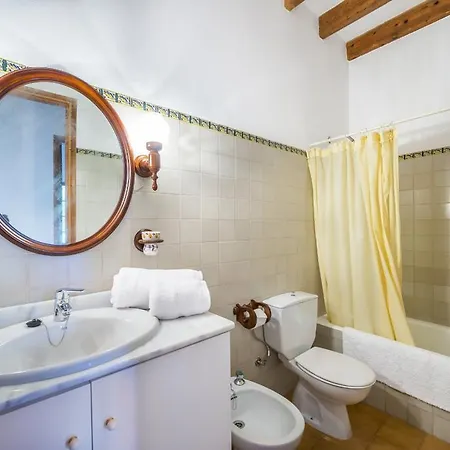 Cirerol Portocolom (Mallorca)