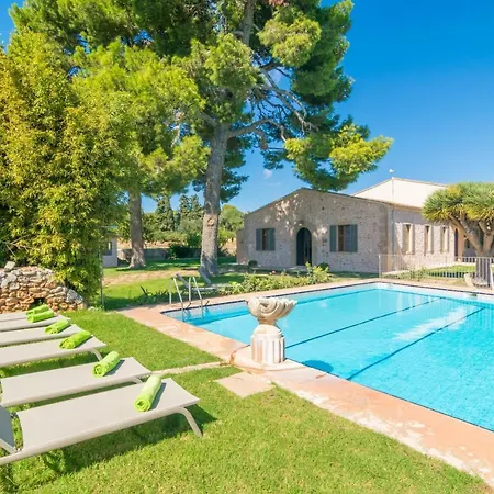 Cirerol Portocolom (Mallorca)