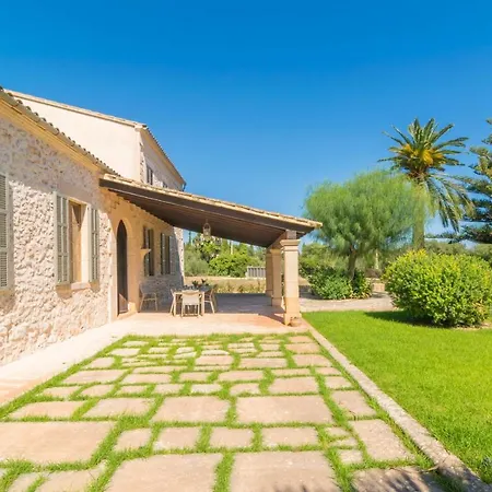 Cirerol Portocolom (Mallorca)